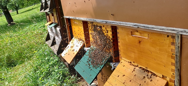 Eutenberg Standort 1